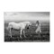 Stupell Industries Her White Horse Canvas, design by Ata Alishahi